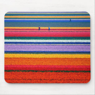 Holland, Tulip fields Mouse Pad