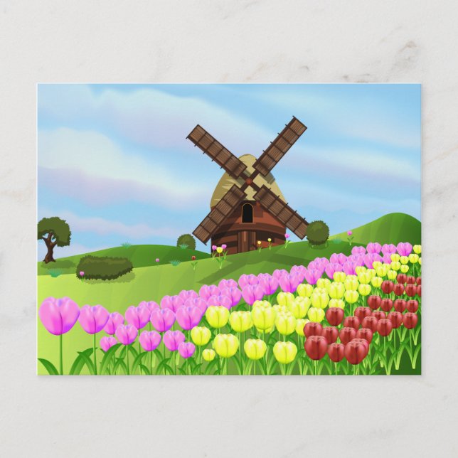 Holland Tulips Postcard (Front)