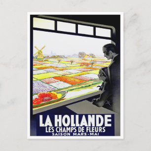 Holland tulips vintage travel Postcard
