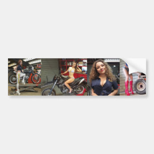 Holley, Harley, Jade & Lilli Toolbox stickers