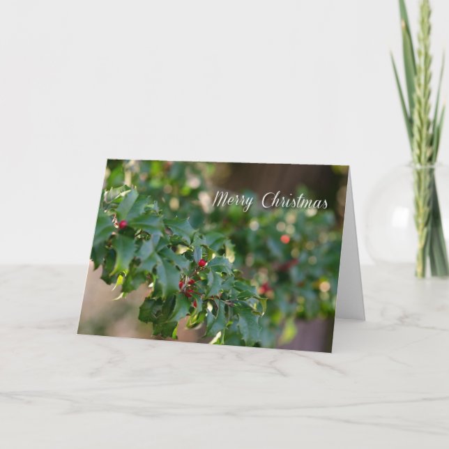 Hollies for Christmas Holiday Card (Front)