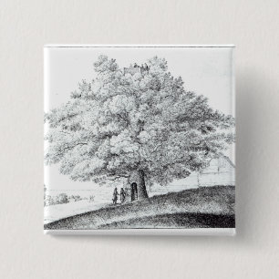 Hollow Tree at Hampstead, 1663 15 Cm Square Badge