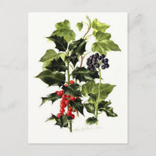 holly and ivy design Christmas Holiday Postcard