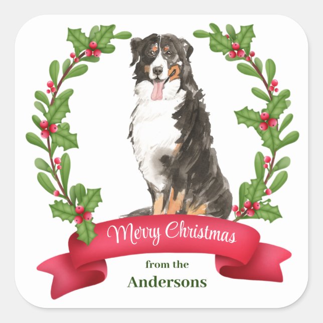 Holly Banner Bernese Mountain Dog Christmas Square Sticker (Front)