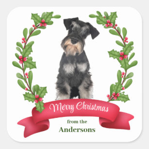 Holly Banner Miniature Schnauzer Dog Christmas Square Sticker