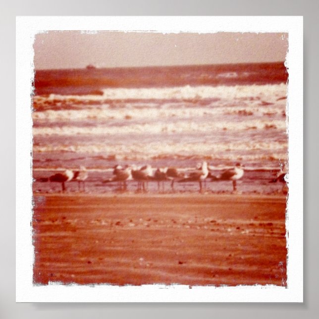 Holly Beach Seagulls Poster (Front)
