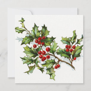 Holly Berries 002