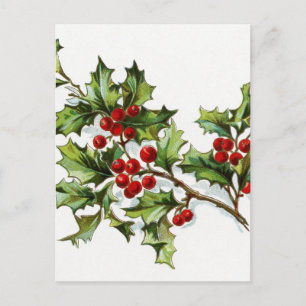Holly Berries 002 Postcard