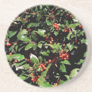 Holly & Berries Coaster