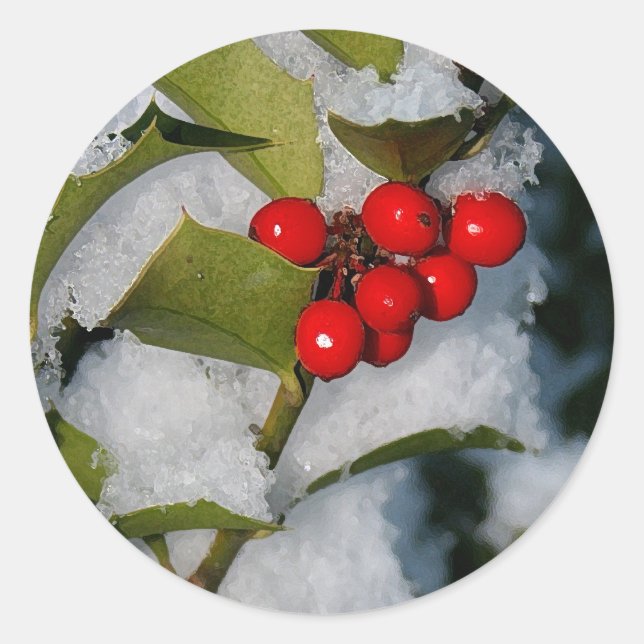 Holly berries in snow stickers (Front)