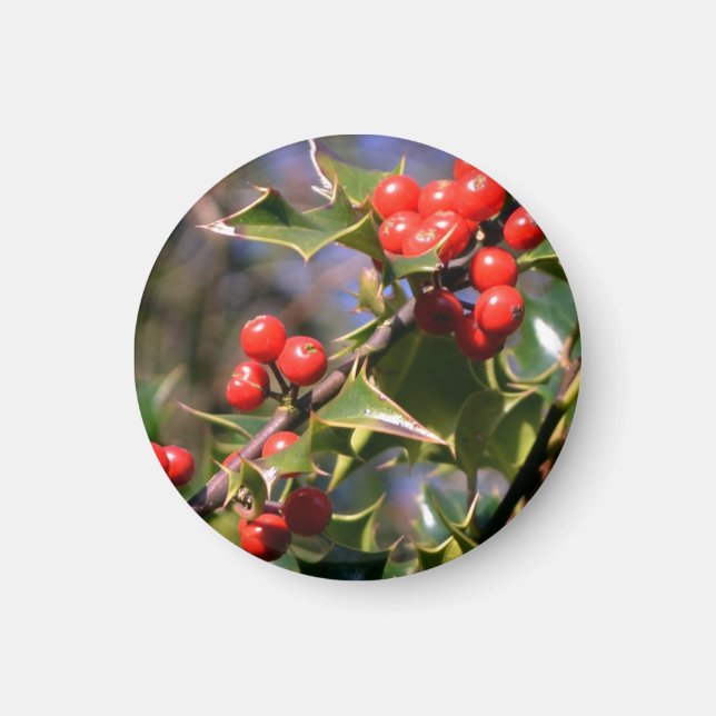 Holly Berries Magnet (Front)
