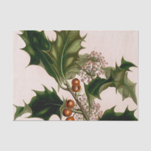 holly berries tissue paper