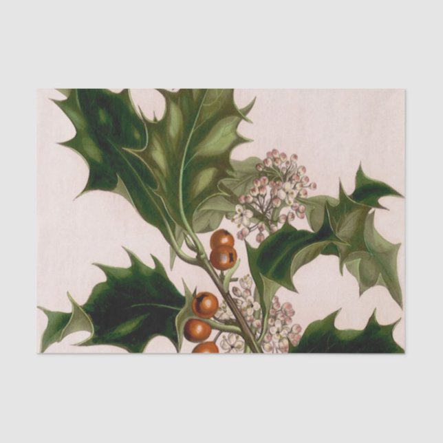 holly berries tissue paper (Front)