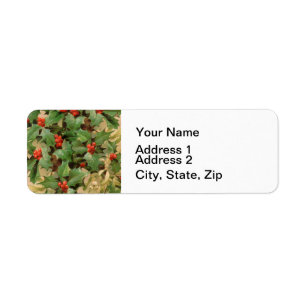 Holly Berry Greenery Christmas Holiday Vintage
