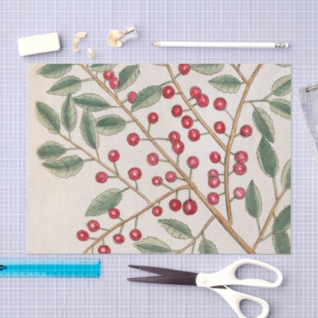 Holly Berry Tissue Paper Christmas Holiday  (Craft)