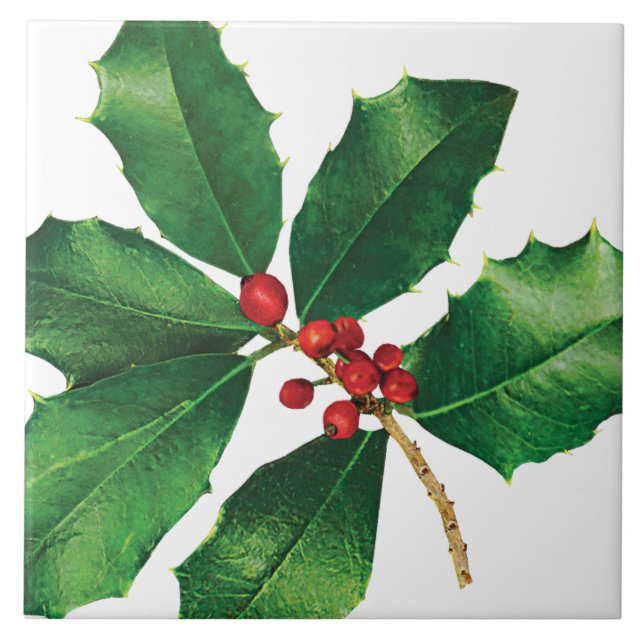 Holly Branch Tile (Front)