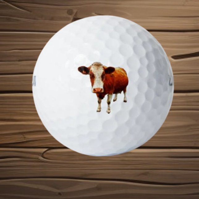 Holly Cow GOLF BALLS (Discover hollow cow golf balls designed for gentle practice and improved control)
