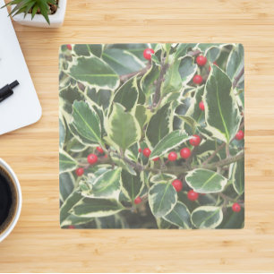 Holly Leaves and Red Berries Holiday Stone Coaster