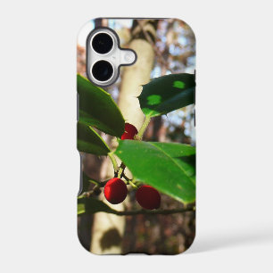 Holly Leaves I Holiday Botanical