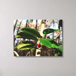 Holly Leaves I Holiday Botanical Canvas Print