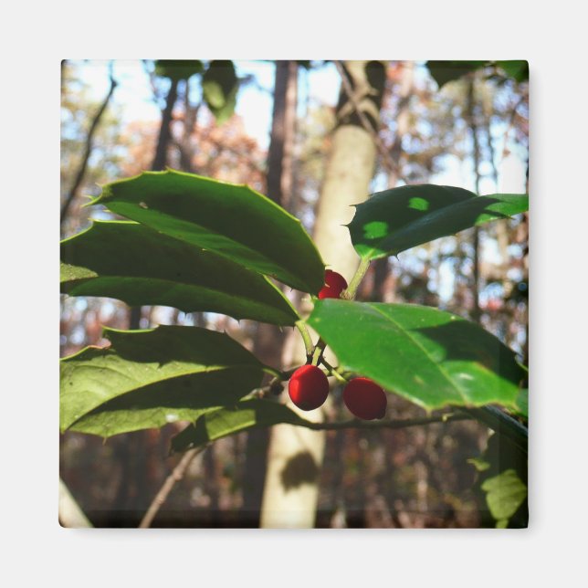 Holly Leaves I Holiday Botanical Magnet (Front)
