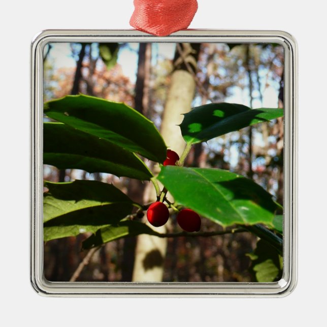 Holly Leaves I Holiday Botanical Metal Tree Decoration (Front)