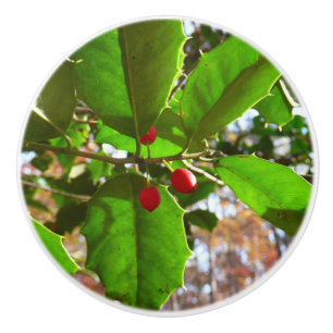 Holly Leaves II Holiday Nature Botanical Ceramic Knob