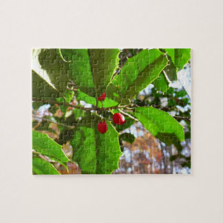 Holly Leaves II Holiday Nature Botanical Jigsaw Puzzle