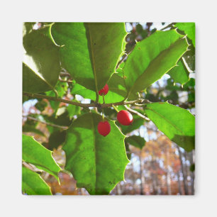 Holly Leaves II Holiday Nature Botanical Magnet