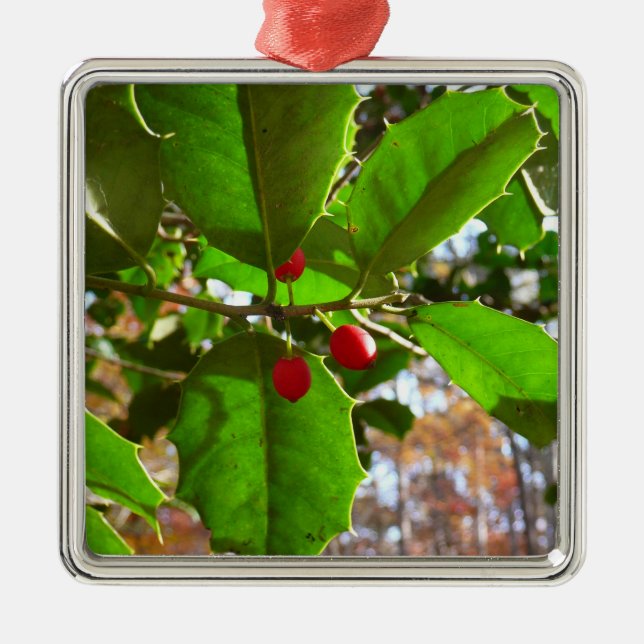 Holly Leaves II Holiday Nature Botanical Metal Tree Decoration (Front)