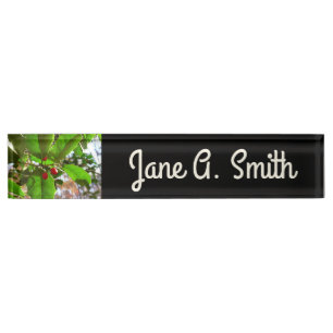 Holly Leaves II Holiday Nature Botanical Nameplate