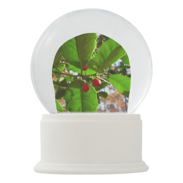 Holly Leaves II Holiday Nature Botanical Snow Globe (Front)