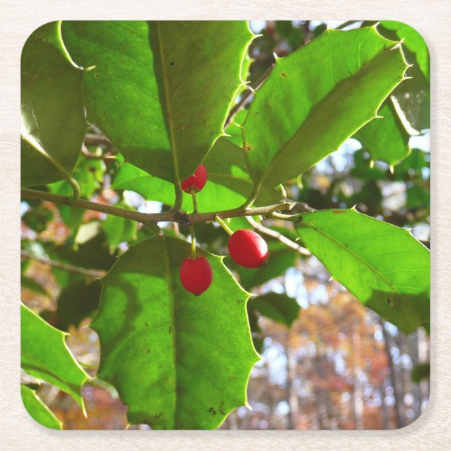 Holly Leaves II Holiday Nature Botanical Square Paper Coaster (Front)