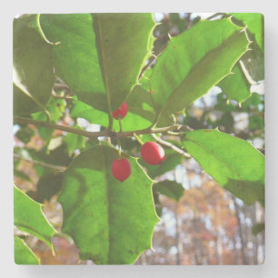 Holly Leaves II Holiday Nature Botanical Stone Coaster