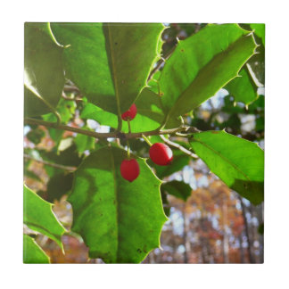 Holly Leaves II Holiday Nature Botanical Tile