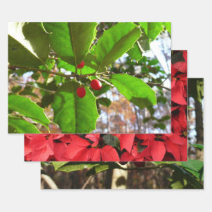 Holly Leaves II Holiday Nature Botanical Wrapping Paper Sheet
