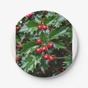 Holly paper plates