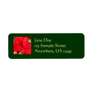 Holly Point Poinsettias Holiday Floral