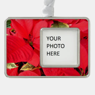 Holly Point Poinsettias Holiday Floral Silver Plated Framed Ornament