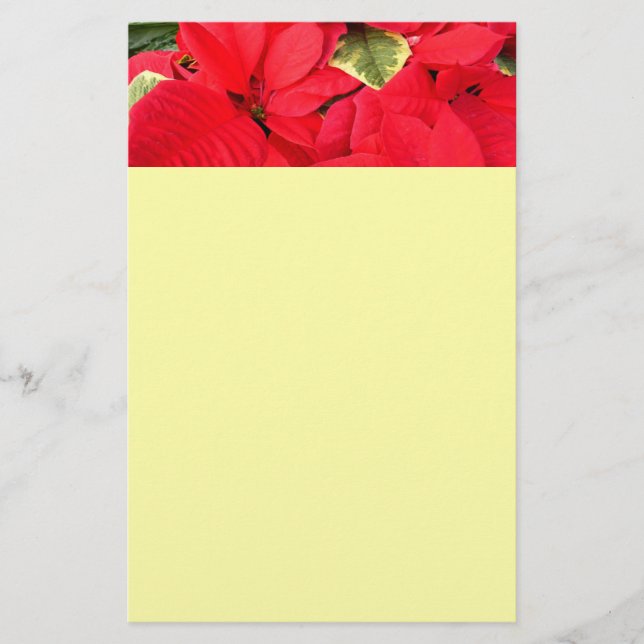 Holly Point Poinsettias Holiday Floral Stationery (Front)