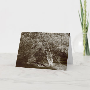 Holly Tree - Sepia Card