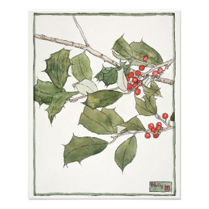Holly Watercolor Painting, Hannah Borger Overbeck Photo Print
