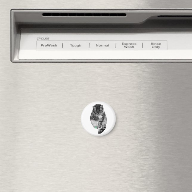 Holly Whisker Magnet (In Situ (Dishwasher))