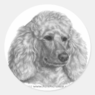 Holly, White Poodle Classic Round Sticker