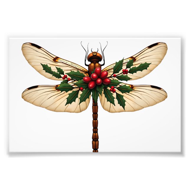 Holly Winged Dragonfly Photo Print (Front)