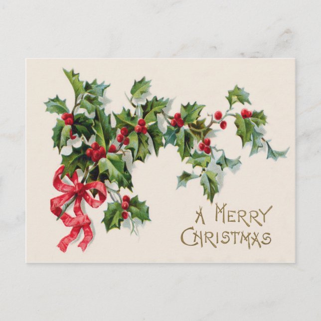 Holly Winterberry Red Ribbon Postcard (Front)