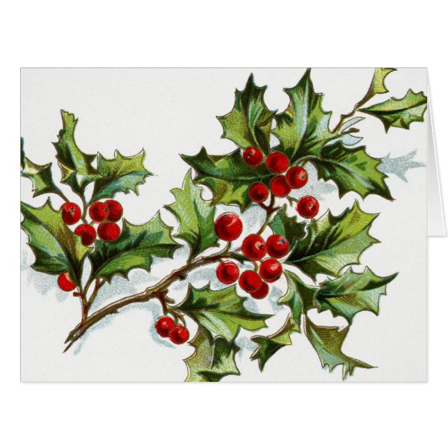 HollyBerries20150801 (Front Horizontal)