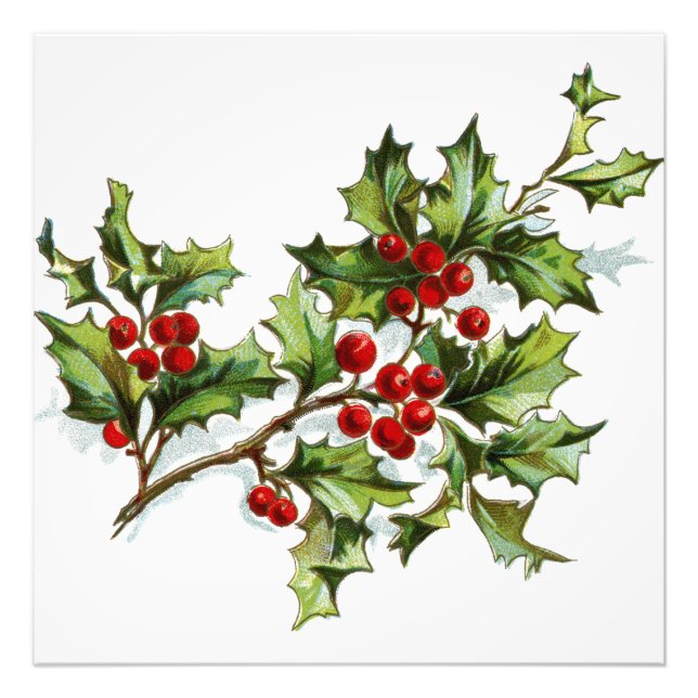 HollyBerries20150801 Photo Print (Front)
