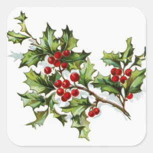 HollyBerries20150802 Square Sticker