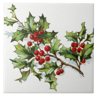 HollyBerries20150802 Tile